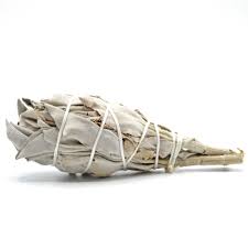 Mini White Sage